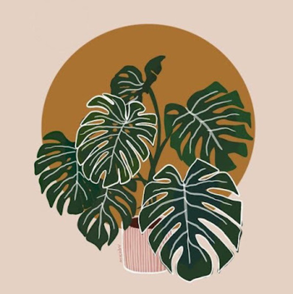 Meet your Posher, Araya - Picture 1 of 1